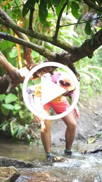 BIB:  <button type="button" onclick="openModal(27524130)" class="btn btn-primary btn-sm float-right" data-toggle="modal" data-target=".modal-high-quality">
                <i class="fa fa-download"></i> Download
                </button>